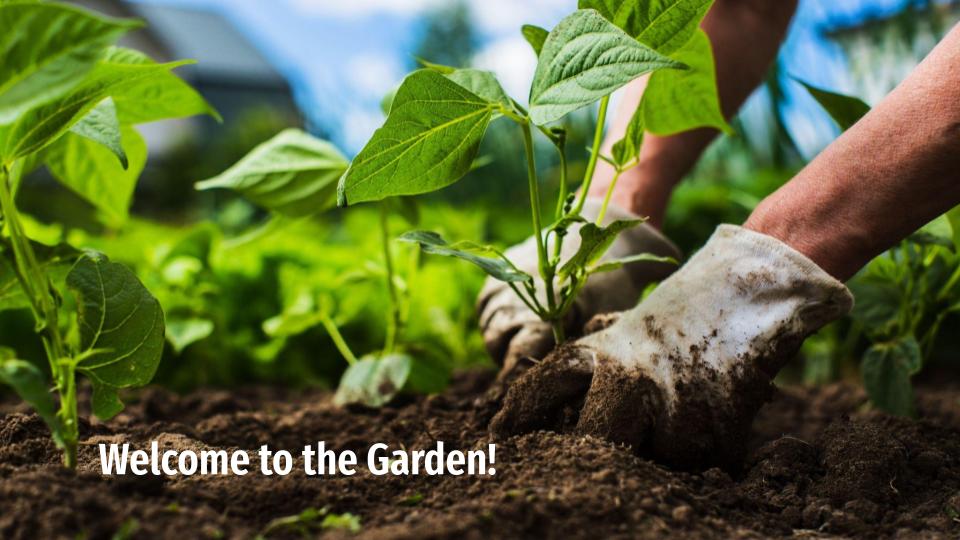 Welcome To The Garden Series: Week 3